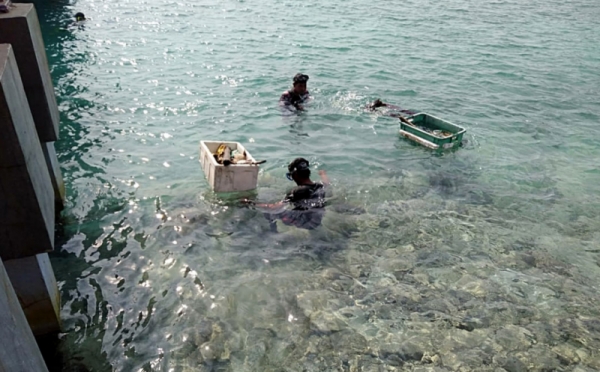 Aksi Pemuda Bersihkan Sampah Di Lokasi Wisata Pulau Tidung Foto