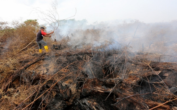 Kebakaran Hutan Dan Lahan Di Nagan Aceh Meluas Hingga Hektare