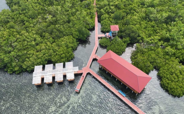 Wisata Hutan Mangrove Desa Matansala Kabupaten Morowali 0 Foto