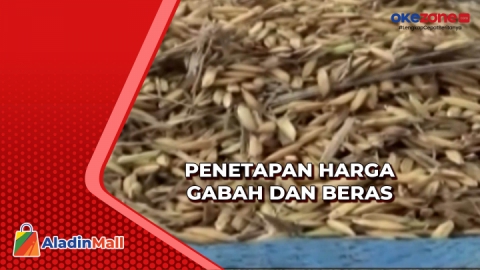 Penetapan Harga Gabah Dan Beras Okezone Video