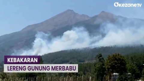 Kebakaran Lereng Gunung Merbabu Hanguskan Ha Lahan Okezone Video