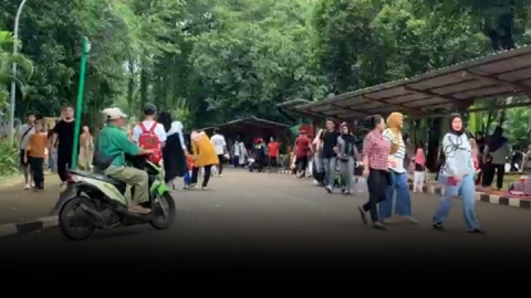 Libur Nataru Taman Margasatwa Ragunan Diserbu Lebih Pengunjung