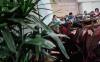 thumb-img