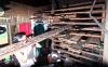 thumb-img