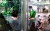 thumb-img