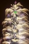 thumb-img
