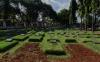 thumb-img