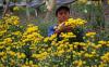 thumb-img