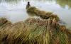 thumb-img