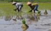 thumb-img