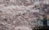 thumb-img