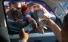 thumb-img