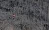 thumb-img