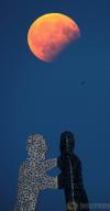 thumb-img