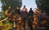 thumb-img
