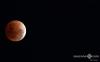 thumb-img