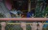 thumb-img