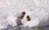thumb-img