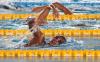 thumb-img