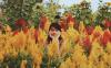 thumb-img