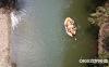 thumb-img