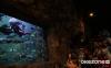 thumb-img