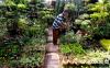 thumb-img