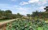 thumb-img
