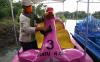 thumb-img