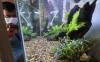 thumb-img