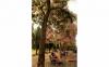 thumb-img