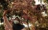thumb-img