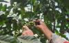 thumb-img
