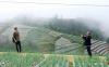 thumb-img