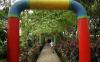 thumb-img