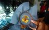 thumb-img