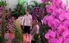 thumb-img