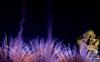 thumb-img