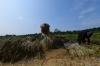 thumb-img