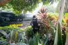 thumb-img