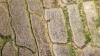 thumb-img