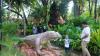 thumb-img