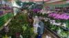 thumb-img