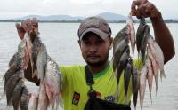 Sawah di Makassar Terendam Banjir Dimanfaatkan Warga untuk Mencari Ikan