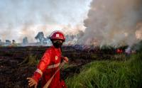 Potret Petugas Damkar Berjibaku Padamkan Kebakaran Lahan di Ogan Ilir Sumsel