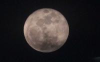 Fenomena Bulan Purnama Rusa Super Terlihat di Langit Malang