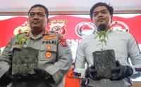 Pengungkapan Kasus Ganja dalam Pot di Polres Bogor
