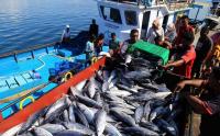 Penagkapan Ikan Secara Terukur Berbasis Kuota