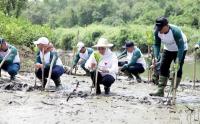 Jaga Kelestarian Lingkungan Pesisir dengan Gerakan Menanam Mangrove