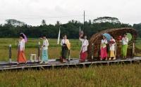 Melihat Fashion Show di Tengah Area Persawahan